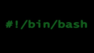 Bash Script If File Exists Not